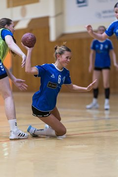 Bild 294 - wBJ TSV Ellerau - HSG Stoertal Hummeln : Ergebnis: 26:19